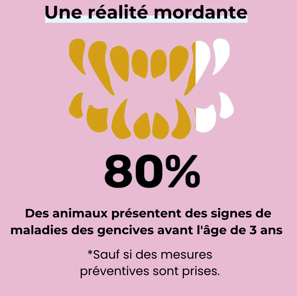 Spray dentaire anti-tartre chiens/chats